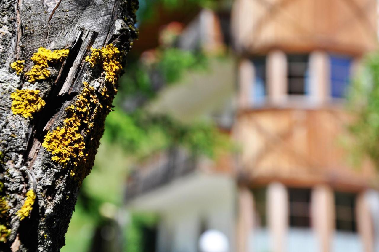 Guesthouse Rungg Badia (South Tyrol) Buitenkant foto