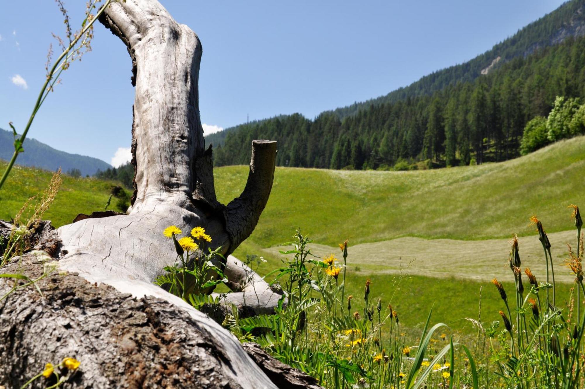 Guesthouse Rungg Badia (South Tyrol) Buitenkant foto